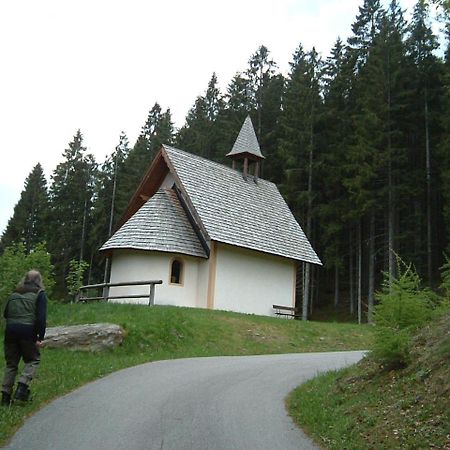 Chalet Nel Doch Villa Cheia Canal San Bovo Esterno foto