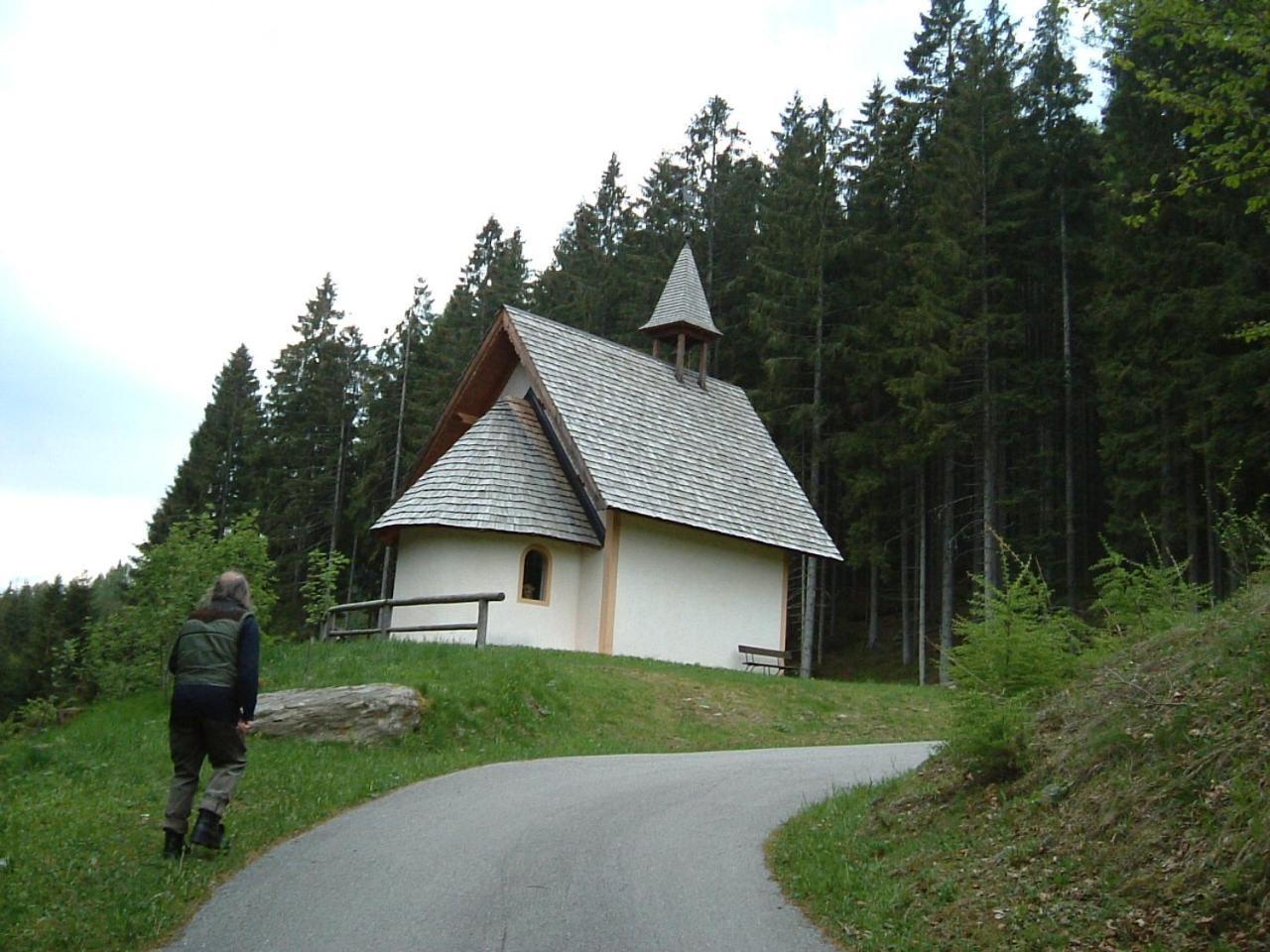 Chalet Nel Doch Villa Cheia Canal San Bovo Esterno foto